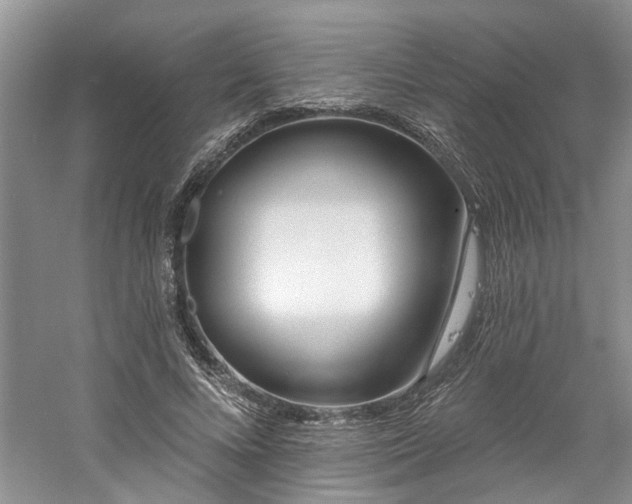 X0000061100688200511181104