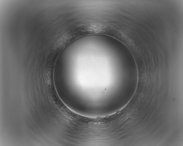 X0000061100689200511181104