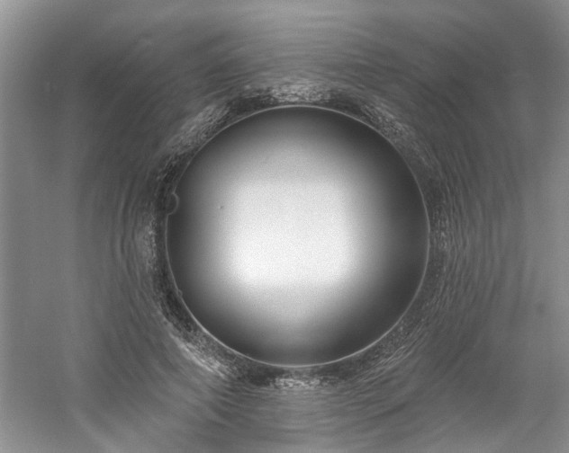 X0000061100690200511181104