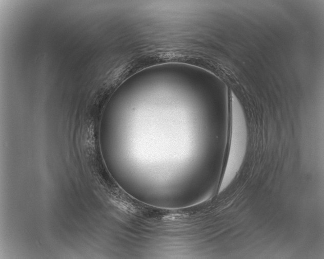 X0000061100700200511181103