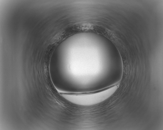 X0000061100704200511181103