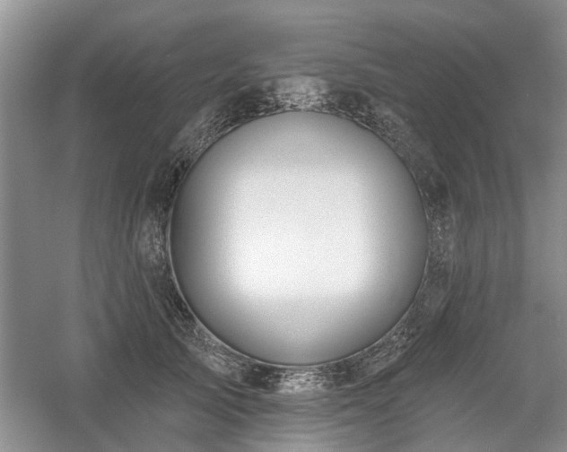 X0000061100705200511181103