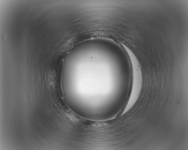 X0000061100712200511181103