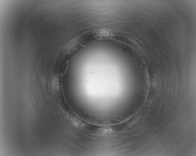 X0000061100715200511181103