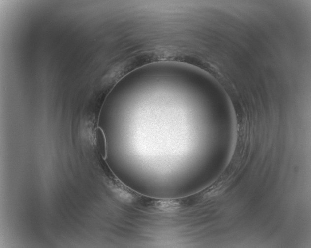 X0000061100719200511181103