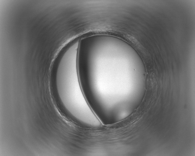 X0000061100728200511181102