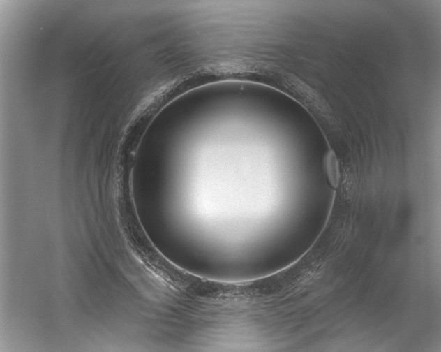 X0000061100732200511181102