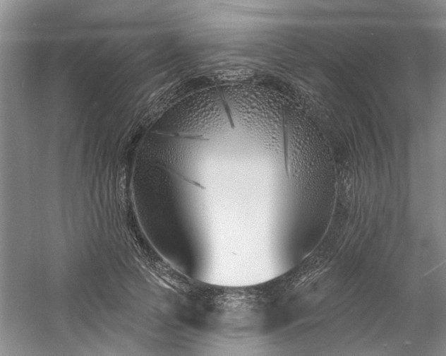 X0000061100745200511181103