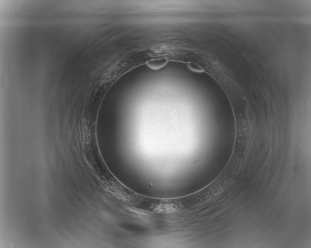 X0000061100751200511181103