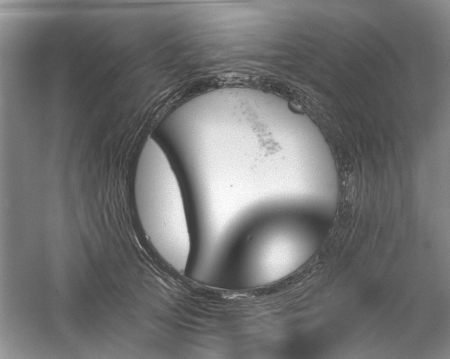 X0000061100753200511181103