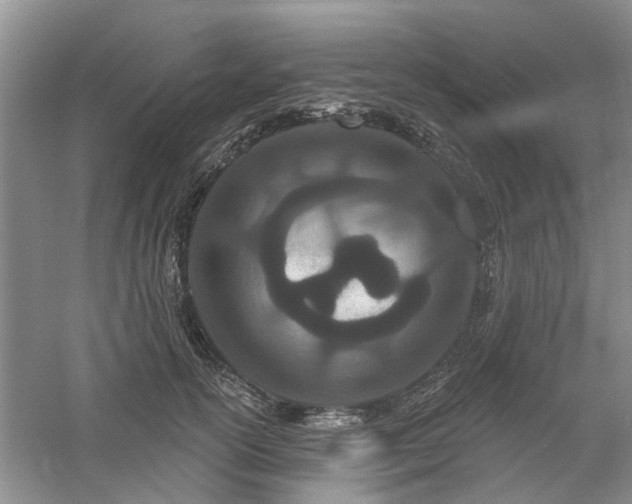 X0000061100754200511181103