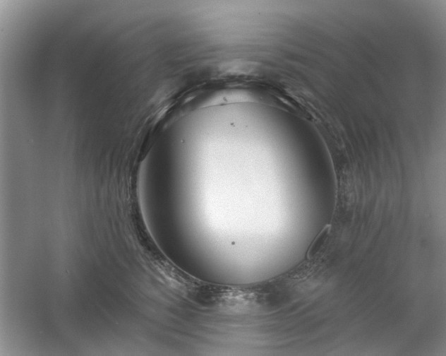 X0000061100760200511181103