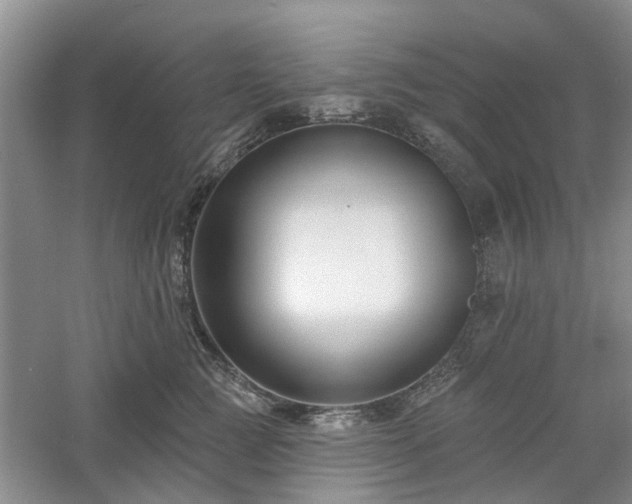 X0000061100761200511181103