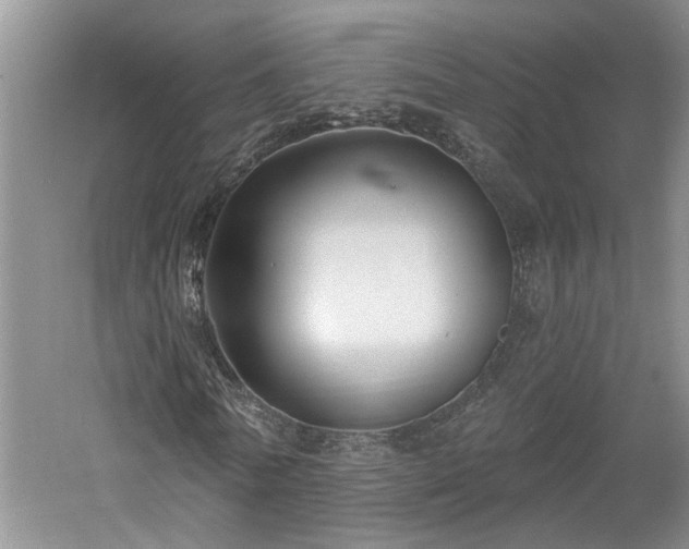 X0000061100770200511181102