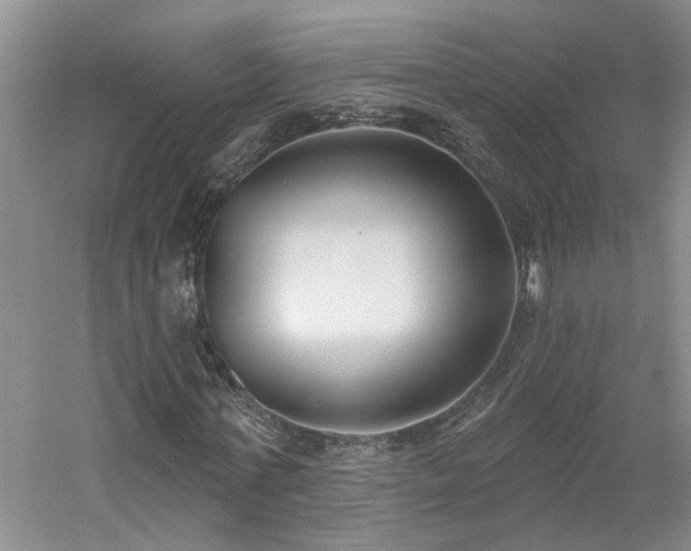 X0000061100771200511181102