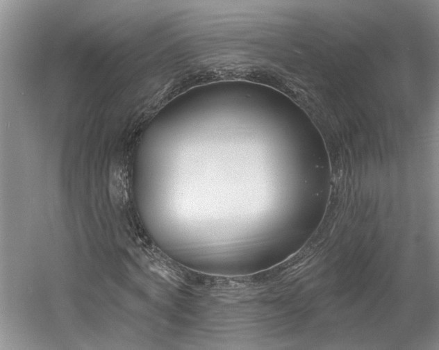 X0000061100772200511181102