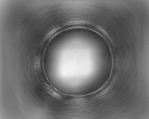 X0000061100778200511181102
