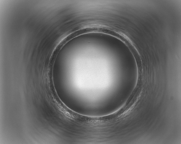 X0000061100783200511181102