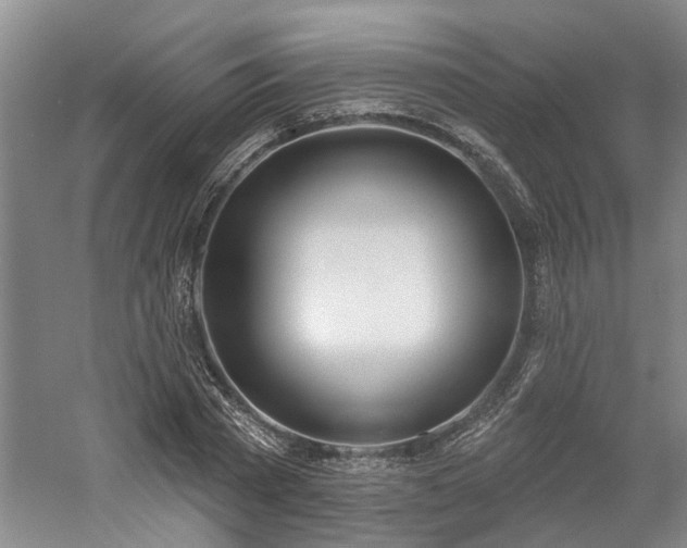 X0000061100785200511181102