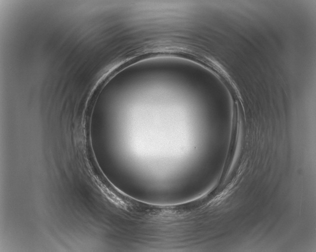 X0000061100787200511181102