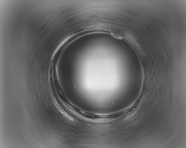 X0000061100788200511181102
