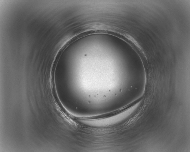 X0000061100791200511181102