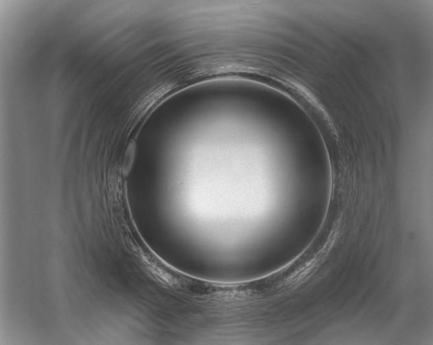 X0000061100793200511181102