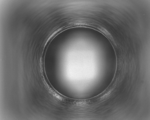 X0000061100798200511181102