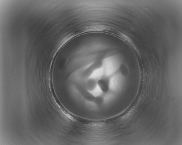 X0000061100802200511181102
