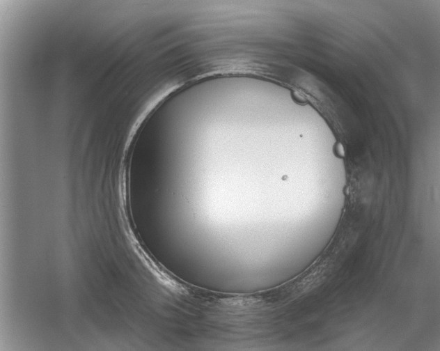 X0000061100804200511181102