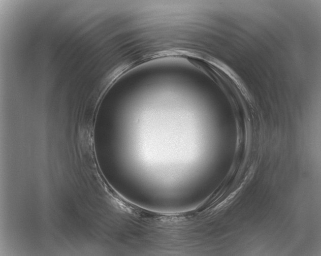 X0000061100809200511181101