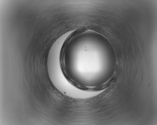 X0000061100818200511181101