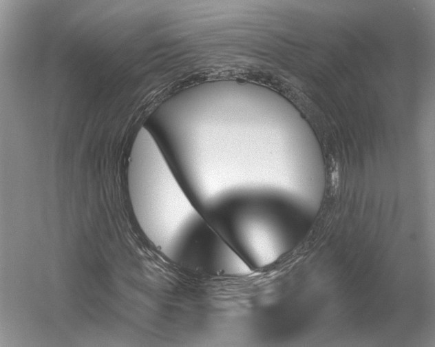 X0000061100819200511181101