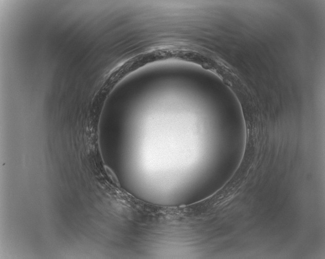 X0000061100822200511181101