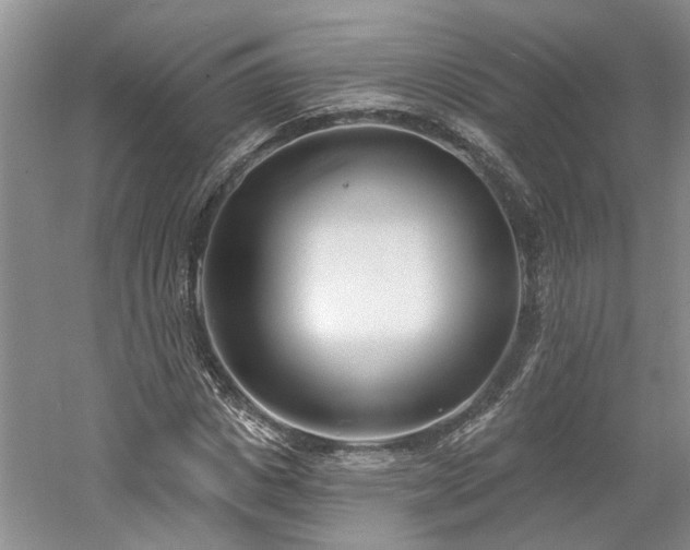 X0000061100825200511181101