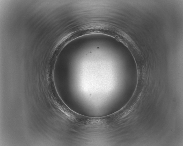 X0000061100826200511181101