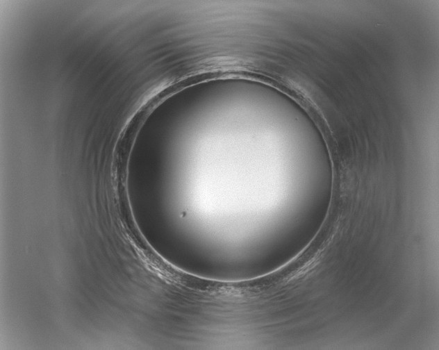 X0000061100827200511181101