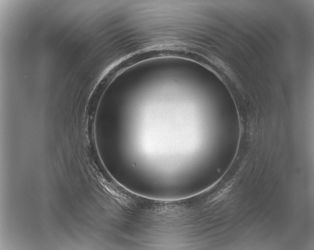 X0000061100830200511181101