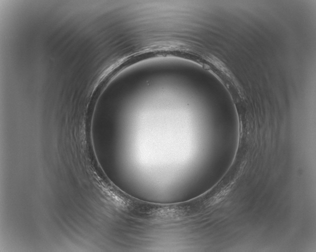 X0000061100834200511181101