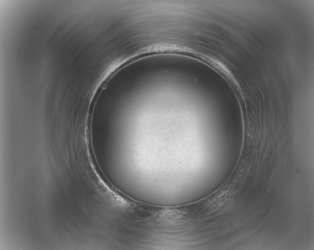 X0000061100847200511181101