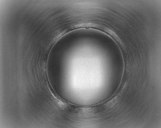 X0000061100849200511181101