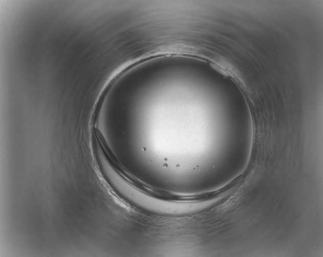 X0000061100854200511181101