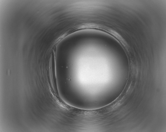 X0000061100857200511181101