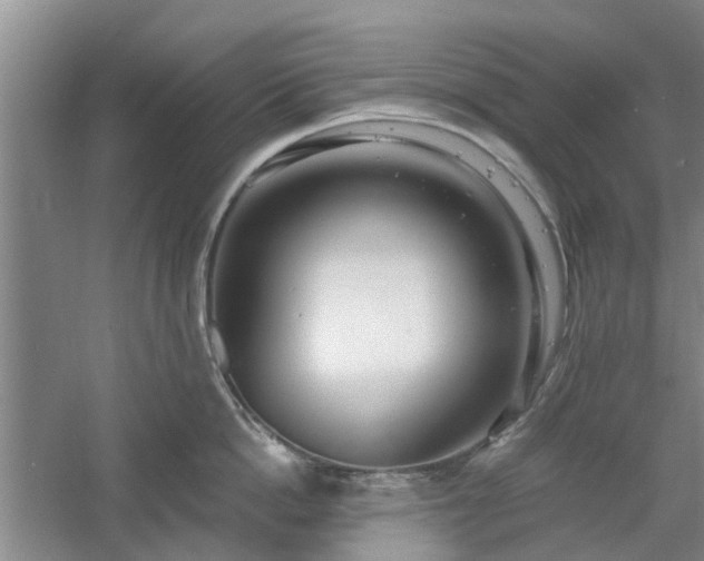 X0000061100862200511181101