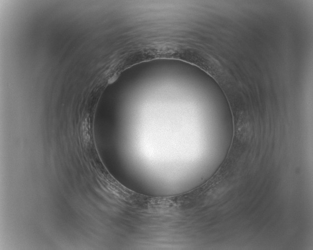X0000061100866200511181101