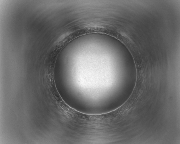 X0000061100870200511181100