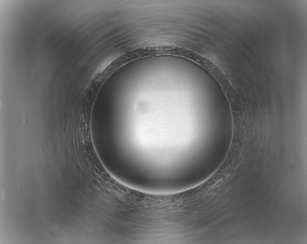 X0000061100871200511181100