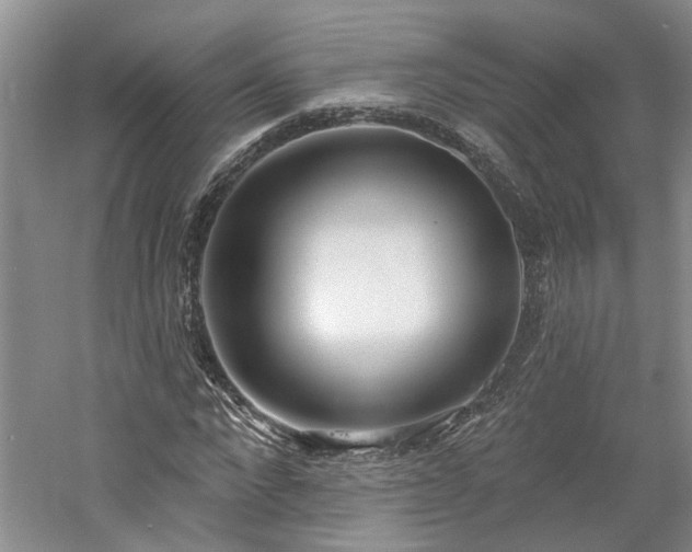 X0000061100872200511181100