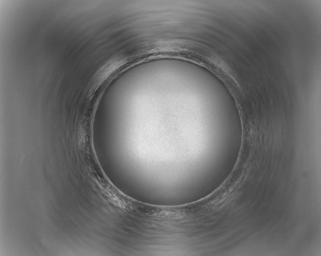 X0000061100874200511181100