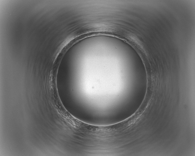 X0000061100875200511181100